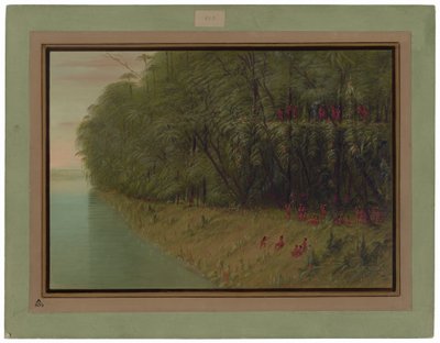 En Amazonaskov - Kigger i land af George Catlin