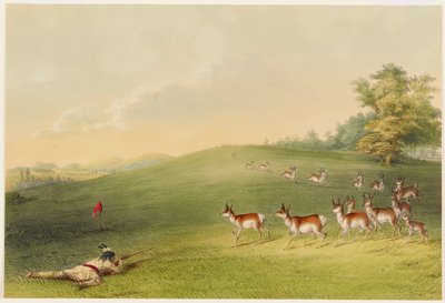 Antilopejagt af George Catlin