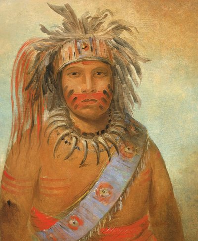 Au-nim-muck-kwa-um, stormfugl af George Catlin