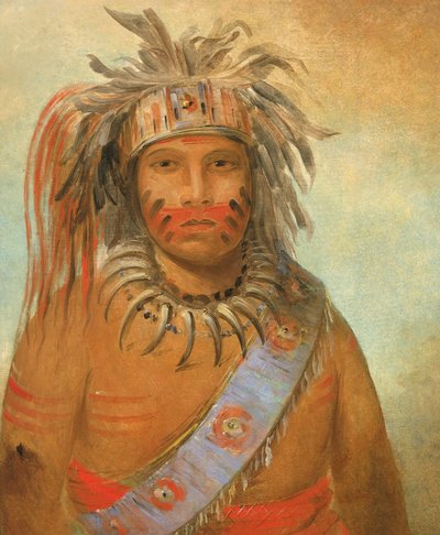 Au-nim-muck-kwa-um, Tempest Bird, 1845. af George Catlin