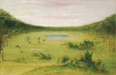 Smuk savanne i fyrreskoven i Florida af George Catlin