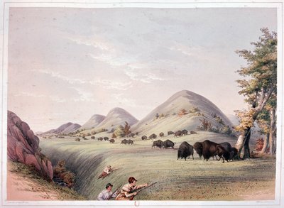 Bison jagt af George Catlin