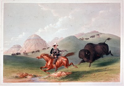 Bison Hunt in North America - litografi af Georges Catlin af George Catlin
