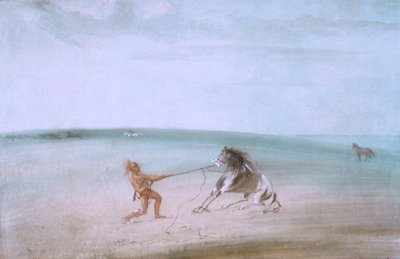 Nedbrydning af den vilde hest af George Catlin