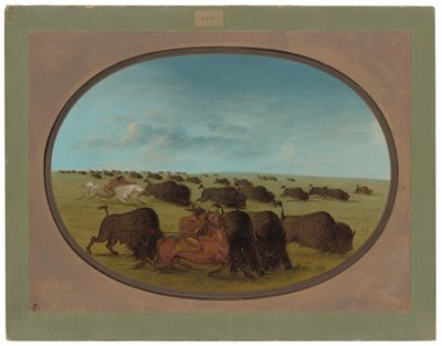 Buffalo Chase, med ulykker af George Catlin