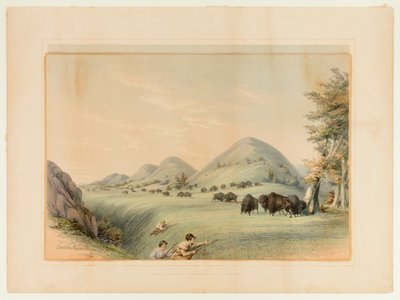 Bøffeljagt; nærmer sig i en kløft - nr. 11 af George Catlin