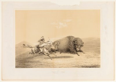 Bøffeljagt, jagt nr. 5 af George Catlin