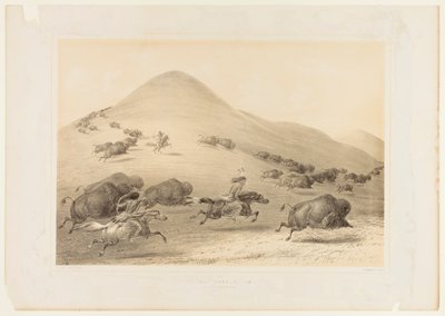 Bøffeljagt, jagt - nr. 6 af George Catlin