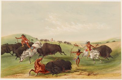 Bøffeljagt: forfølgelse af George Catlin