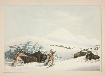 Buffalo Hunt, På snesko, pl. 15 fra North American Indian Portfolio af George Catlin