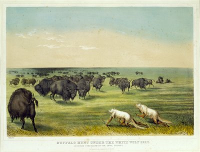 Bøffeljagt under den hvide ulveskind af George Catlin
