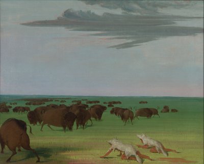 Bøffeljagt under ulveskindsmasken, 1832-1833. af George Catlin