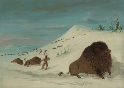 Buffalo Lancing in the Snow Drifts - Sioux, 18611869. af George Catlin