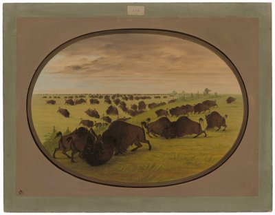 Tyre kæmper af George Catlin