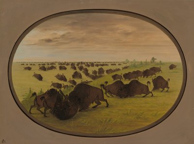 Tyrekamp, 18611869. af George Catlin