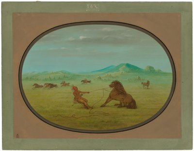 At fange vilde heste - Pawnee af George Catlin