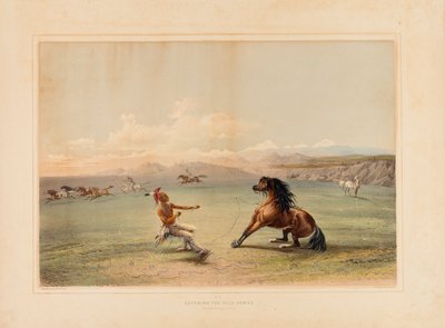 At fange den vilde hest - nr. 4 af George Catlin