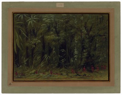 Interiør af en Amazonaskov - Zurumati af George Catlin