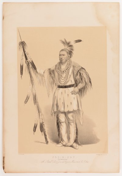 Joc-o-sot, den vandrende bjørn af George Catlin
