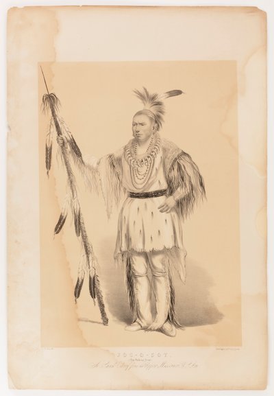 Joc-o-sot, den vandrende bjørn af George Catlin