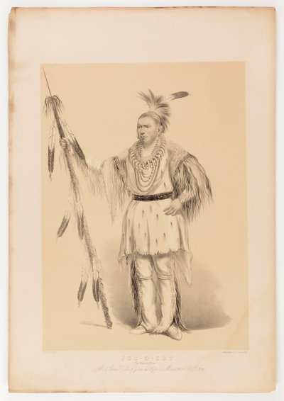 Joc-o-sot, den vandrende bjørn af George Catlin