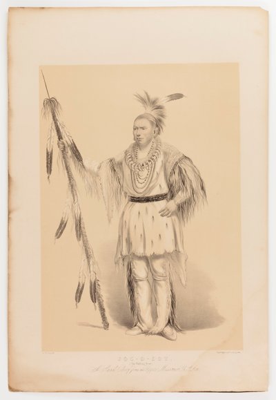 Joc-o-sot, den vandrende bjørn af George Catlin