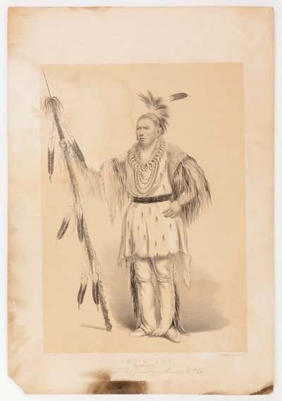 Joc-o-sot, den vandrende bjørn af George Catlin