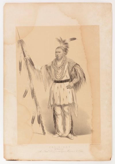 Joc-o-sot, den vandrende bjørn af George Catlin