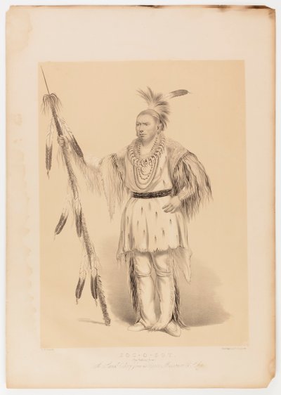 Joc-o-sot, den vandrende bjørn af George Catlin