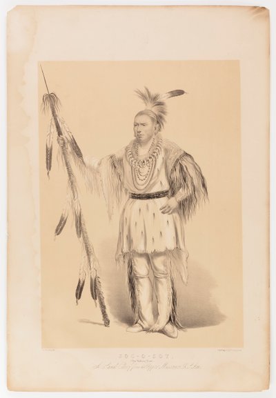 Joc-o-sot, den vandrende bjørn af George Catlin