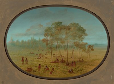 Kiowa-indianere, der samler vilde druer, 18611869. af George Catlin