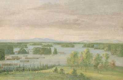 Lac du Cygne (Svanesøen), nær Coteau des Prairies af George Catlin