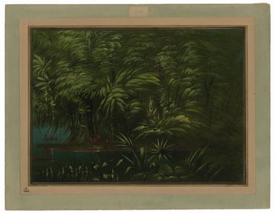 frodig skov på bredden af Amazonas af George Catlin
