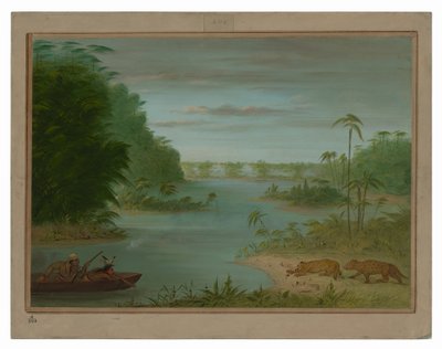 Pont de Palmiers og Tigerskydning af George Catlin