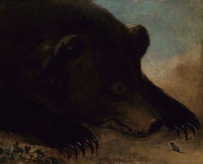 Portrætter af en Grizzlybjørn og en mus, naturlig størrelse, 1846-1848. af George Catlin