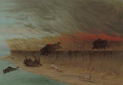 Prairie Meadows Burning, 18611869. af George Catlin