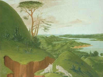 Flodskråninger med hvide ulve i forgrunden, øvre Missouri af George Catlin