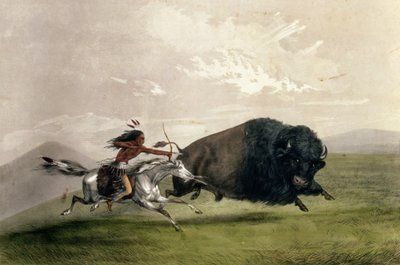 The Buffalo Chase "Singling Out", pub. af Currier og Ives af George Catlin