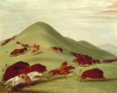 Bøffeljagten af George Catlin