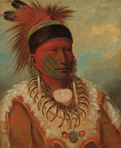 Den hvide sky, chef for Iowas, 18441845. af George Catlin