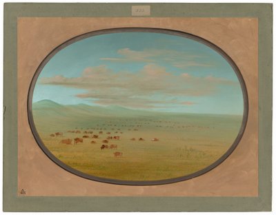 Vilde kvæg græsser på Pampa del Sacramento af George Catlin