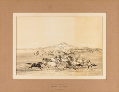 Vilde heste i leg - nr. 3 af George Catlin