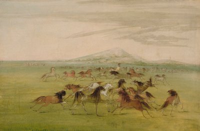 Vilde heste i leg af George Catlin