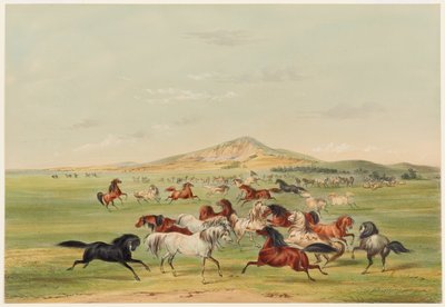 Vilde heste i leg af George Catlin