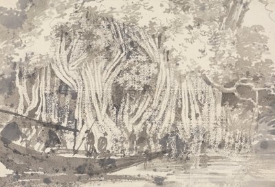 Et Pipul Træ af George Chinnery