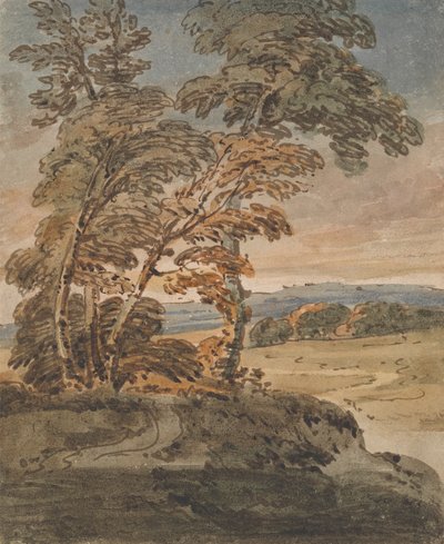 Træer på en bjergskråningsti af George Chinnery