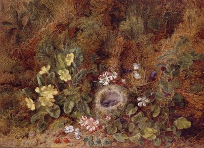 Stilleben med fuglerede og vilde blomster af George Clare