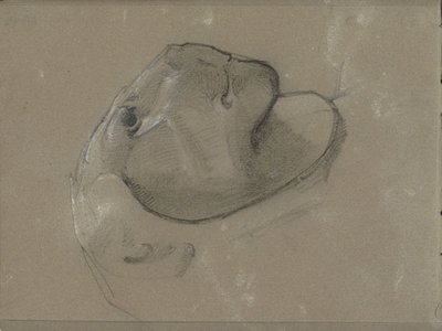 Løvehoved, formentlig efter en skulptur af George Clausen