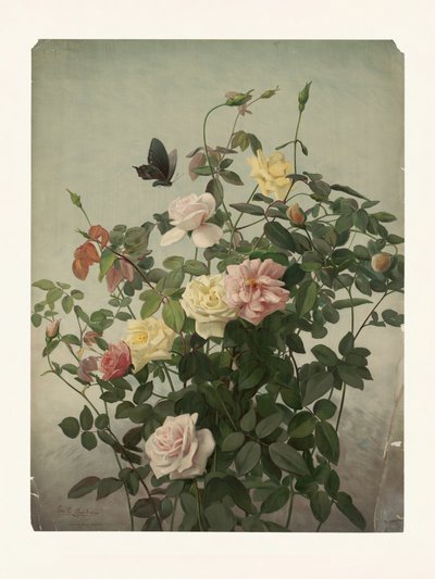 Roser af George Cochran Lambdin