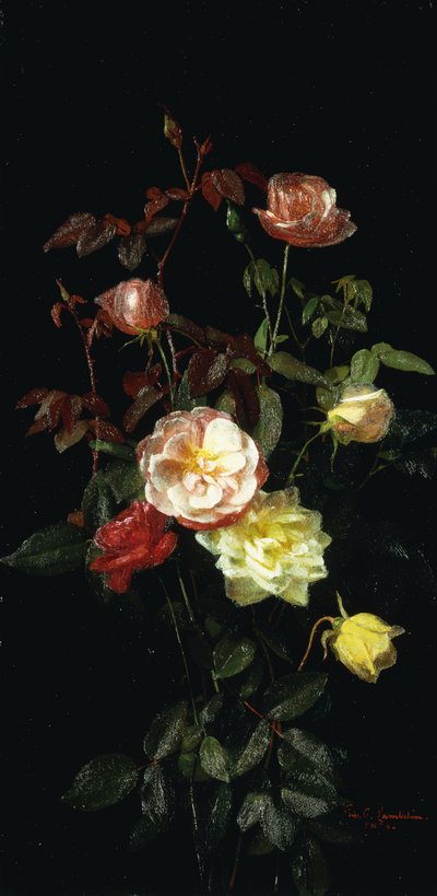 Roser, 1878 af George Cochran Lambdin